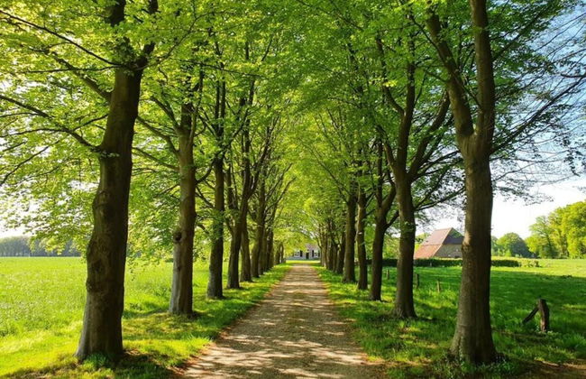 Stylish Stay in Vorden Woods - Foto 39