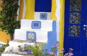 OrangeBalestrate - Foto 46