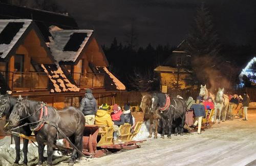 Apartament TatraVika - Photo 54