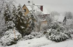 Idyllische Wohnung mitten in der Natur „ Haus Magnolia „ - Foto 32