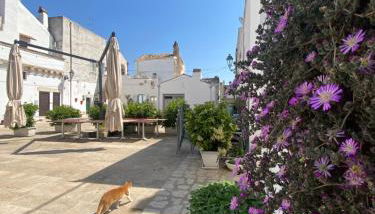 La casa del Mulino - Foto 2