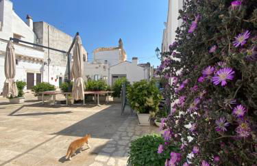 La casa del Mulino - Photo 2