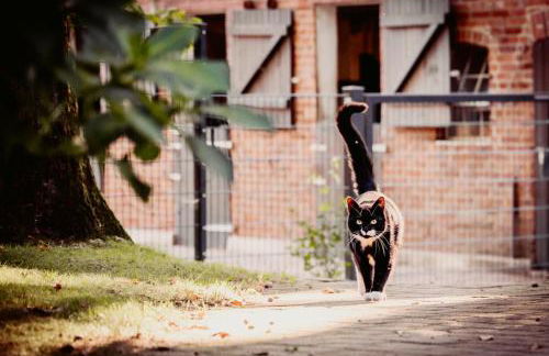 Carpe Deimern in der Lüneburger Heide - Foto 64