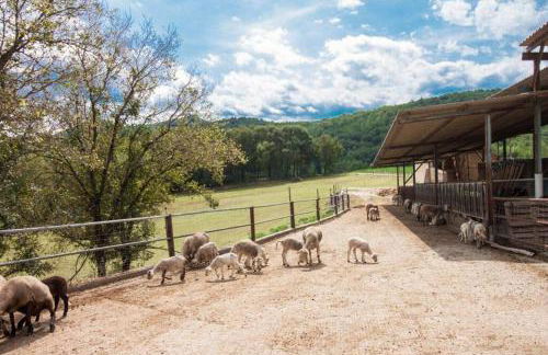 La Cabanya Planella - Foto 35