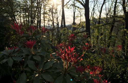 Hideaway Extertal - Foto 48