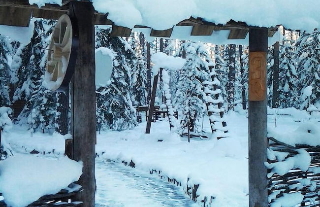 Shishki na Lampushke - Russkaya Derevnya - Foto 29