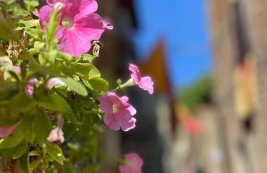 La Casa in Castello - Foto 36