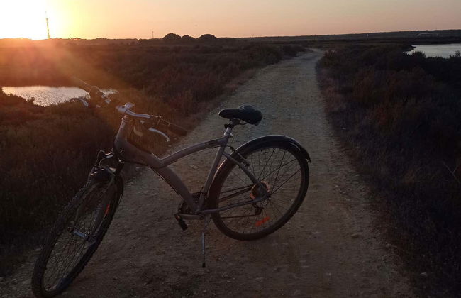 Bike Tour through the Odiel Marshes - Photo 3
