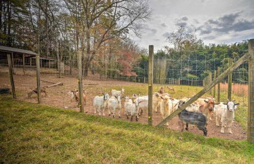 Forest Fantasy Pet-Friendly Smoky Mtn Escape! - Foto 23