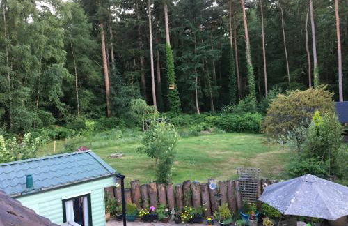 Secluded Woodland Hideaway - 2 Bed with Private Parking - Photo 1