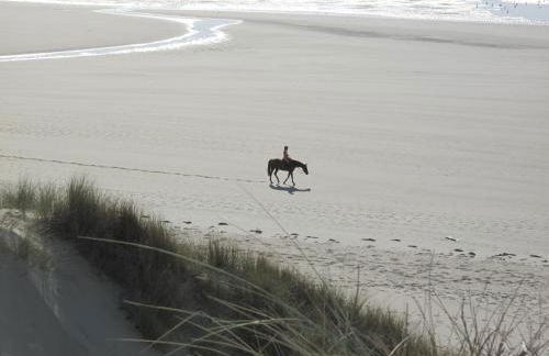 Villa les Agapanthes avec piscine et SPA chauffée dans votre appartement - Foto 40