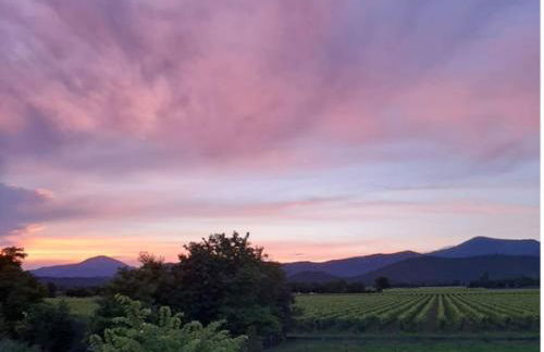 CASETTA MIRAVIGNA cozy flat with garden in Franciacorta & Iseo Lake - Foto 33