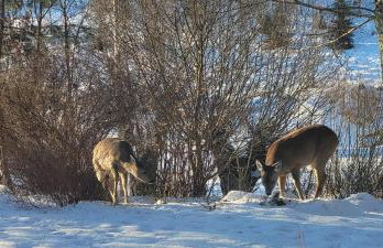 Akacjowe Wzgórze - Foto 17