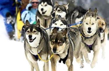 Suite Balneo Les Boutons d'or Font Romeu - Foto 24