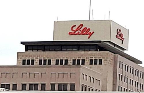 Orange Delite - Photo 26