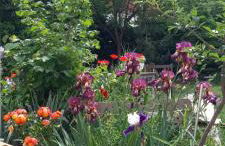 Ferienwohnung Lerchennest - Foto 6