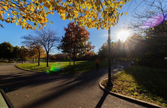 Deluxe single bed 1st FL in Elmhurst NY - Foto 12