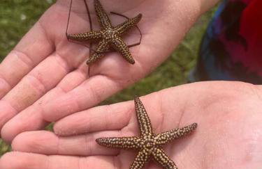 Classic Floridian Oasis w/Pool - Foto 47