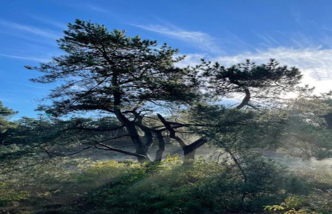 Elite Holiday Home in North Holland near Forest - Foto 25