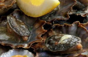 Pana House - Photo 49