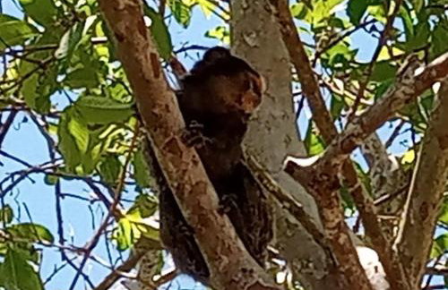 Recanto Privativo Suítes Brisas de Araruama - Região dos Lagos - Photo 57