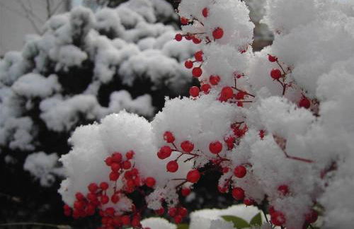 Ferienwohnung Familie Buchner - Foto 26