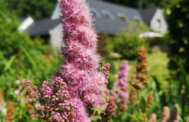 Gîtes du Bulz, en pleine forêt proche de la mer - Photo 54