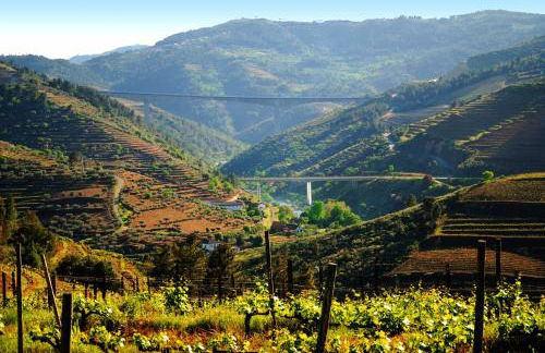 Casa Oliveiras do Douro - Foto 29