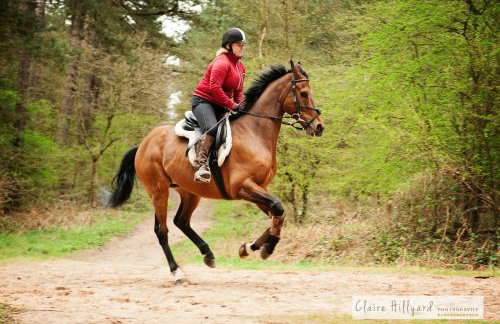 Lord Byron Lodge - Foto 8