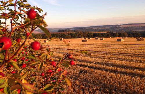 Eastwood Cottage - Photo 5