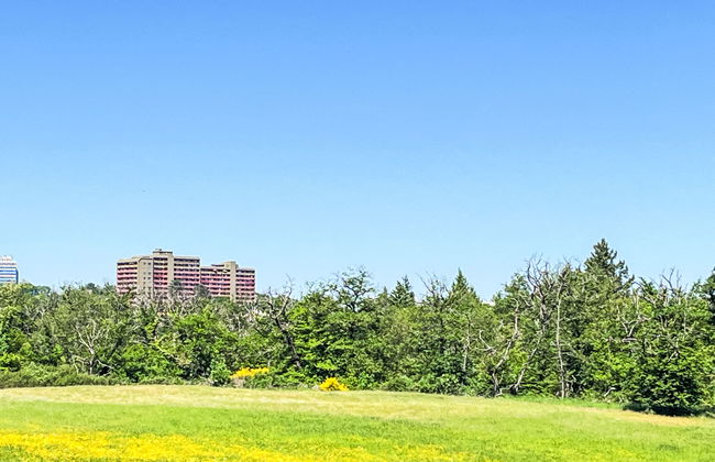 Flieder (A110) - Foto 28