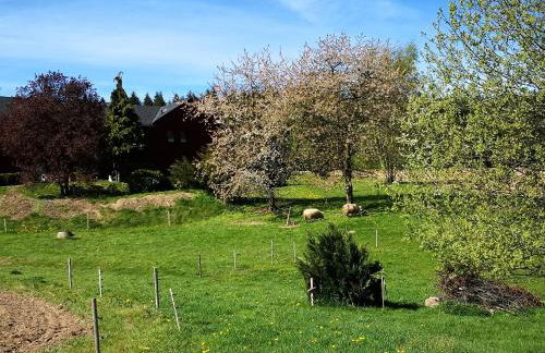 Pumphuts Scheune Ferienwohnungen Nr 1 - 4 beim Freizeitpark Plohn - Foto 59