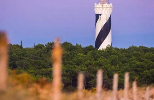 Maison neuve avec piscine chauffée, 4 kms de Contis plage - Foto 30