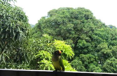 Apê Central Bonito - Foto 16