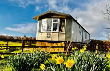 Highgate Mountain - Foto 1