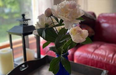 19 century Victorian Home - Foto 10