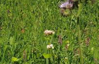 Ferienhaus Dreier-Ley - Foto 8