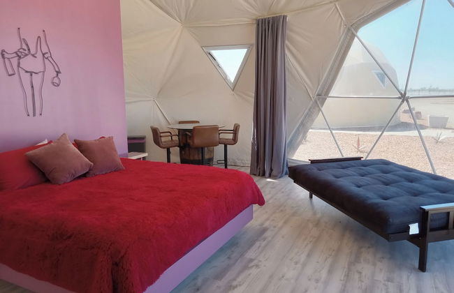 Tirrito Farm - Photo 16