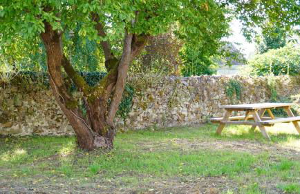 Gîte Apolize - Photo 22