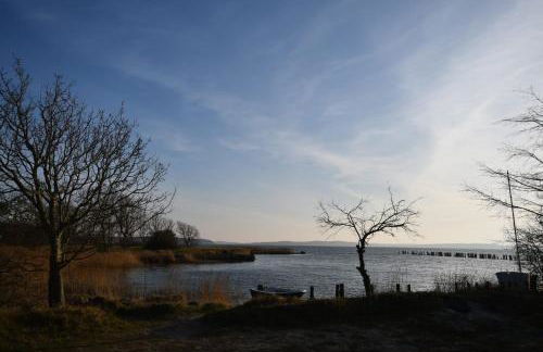 Ferienwohnung Boddenliebe - Foto 34