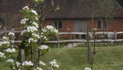 Starvegoose Cottage - Foto 2, Garden