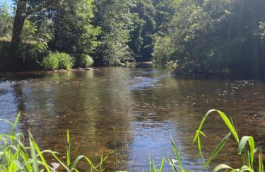 Gîte du moulin vert - Foto 18