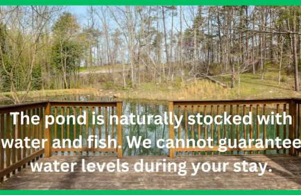 Peak of Perfection at Cabins in the Clouds - Foto 29