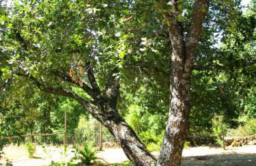 La Buenaventura del Tiétar - Foto 40