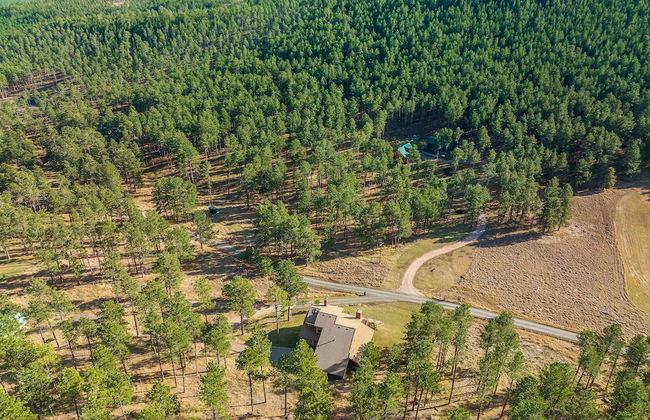 Peaceful Pines 5 BR Home with Jacuzzi - Foto 30