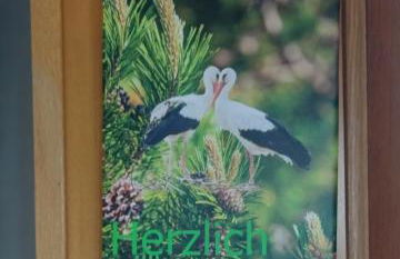 Fichtennest - Foto 18