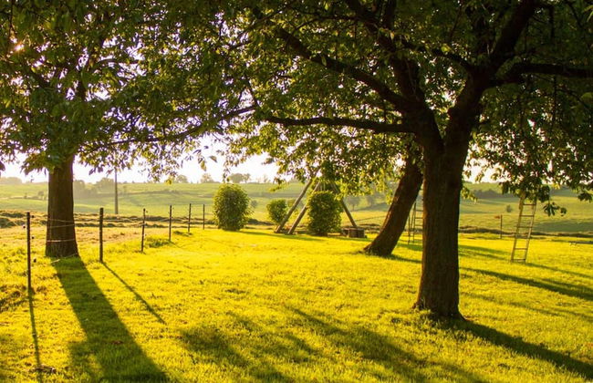 Voeren Mansion With Garden - Foto 37