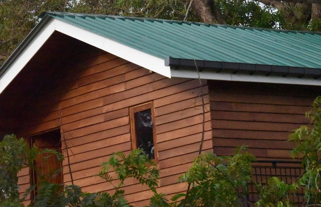 Wilpattu Tree House Hotel - Foto 50