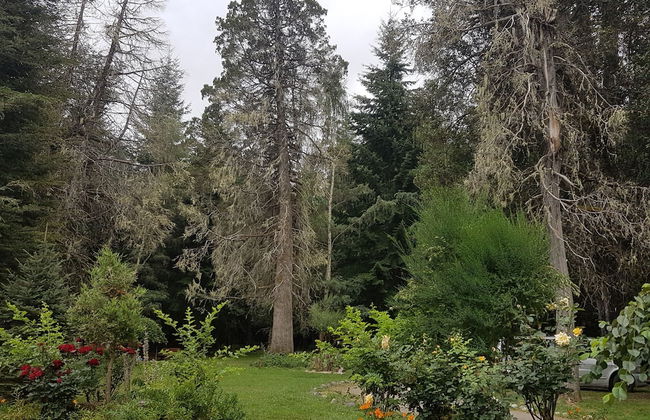 Cabañas Las Maras - Foto 29