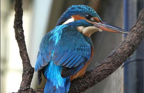 Mühle W01 - Foto 37